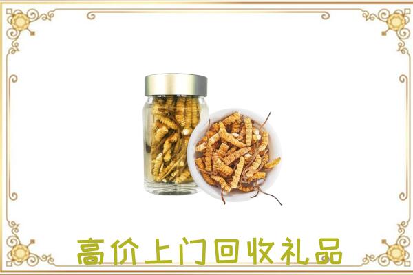 阜新市周边回收虫草